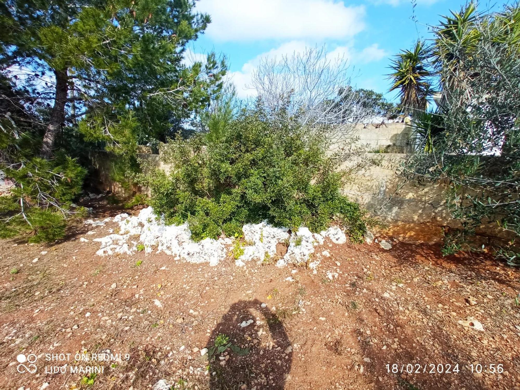Villa Il Pigno Zona Maldive Del Salento Marina Di Pescoluse Eksteriør billede